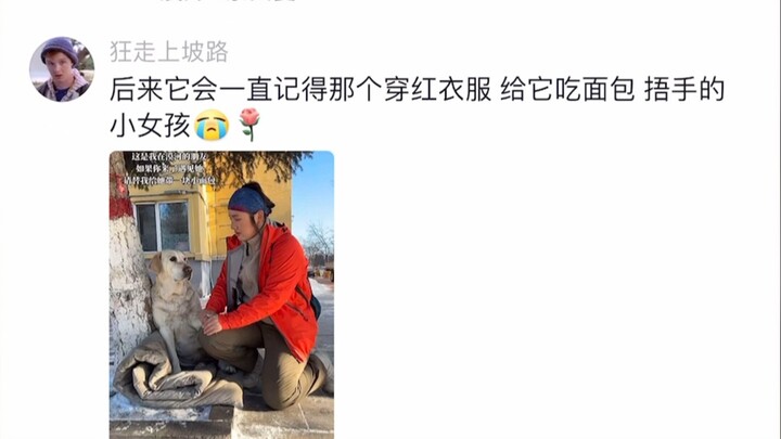 المنشفة الكبيرة: لا تشترِ الأمعاء ولا تزعجني~