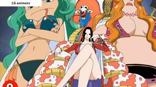Top 10  quá khứ lấy đi nước mắt nhiều nhất trong One Piece __ 4