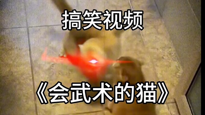 Belajar langsung jualan