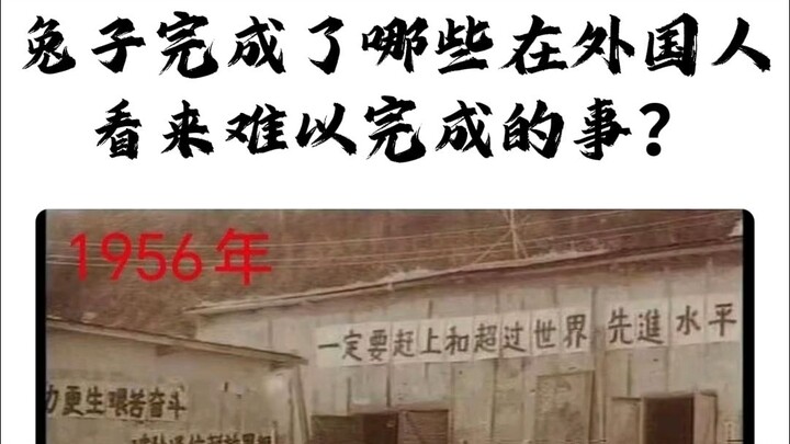 กระต่ายทำสิ่งใดบ้างที่ชาวต่างชาติมองว่าเป็นเรื่องยากเกินจะทำสำเร็จ?