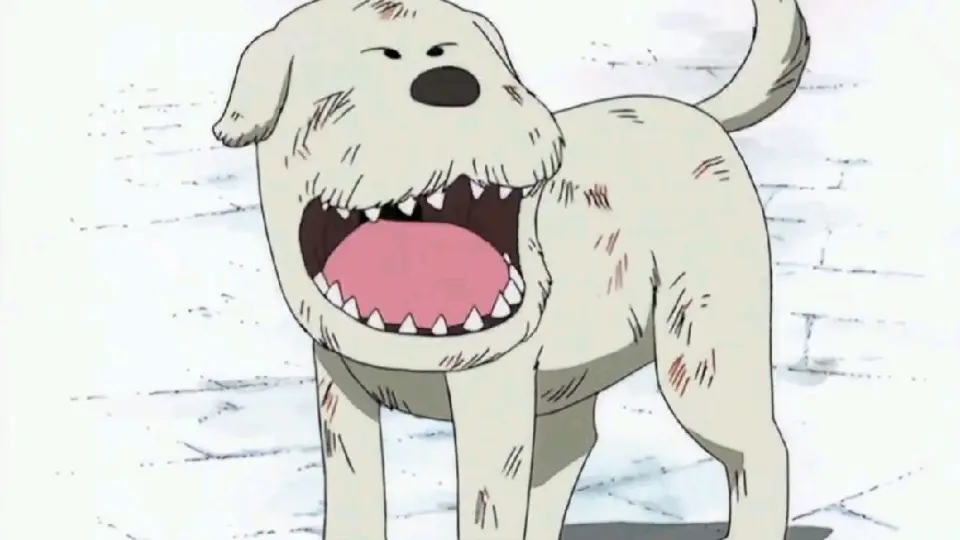 One Piece Crazy Chouchou Bilibili