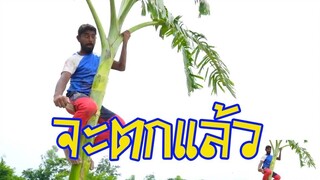 ตลกอินเดียฮาๆพากย์ไทย│จะตกแล้ว