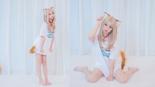 猫猫的设定就是永远爱主人❤你的猫咪