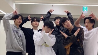 Nội tiết tố nam MAX! Hãy nhảy ĐÁNH BẠC cùng Monsta X!