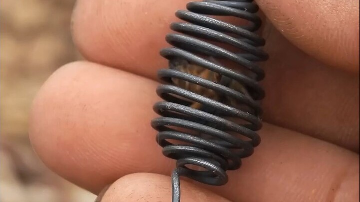 Mengapa Ratu Lebah Perlu Dilindungi?