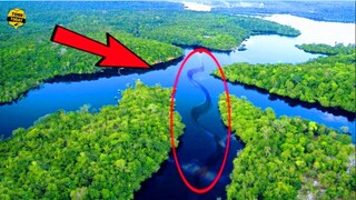 🔴 10 Sinh Vật Bí Ẩn Và Nguy Hiểm Vẫn "ÂM THẦM L.Ẩ.N T.R.Ố.N" Trong Amazon
