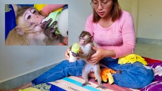 Milk Time!! Little adorable Toto is so happy when seeing milk & run quickly to get milk from Mom