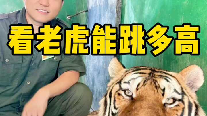 你们实在是太懒辣！