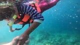 VIRGIN ISLANDS PHILIPPINES CLEAR BLUE WATER DIVING AND SNORKELING