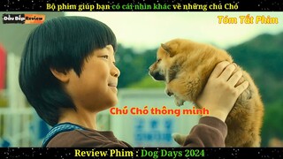 Bộ phim giúp bạn có cái nhìn khác về những chú Chó - review phim lẻ hàn