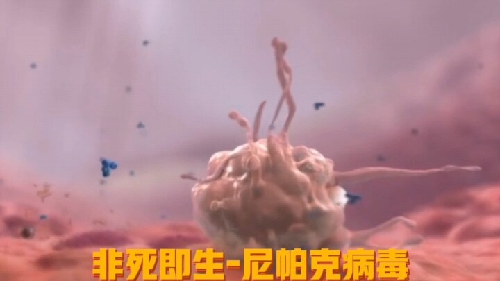 超高的致死率，无法治愈的病毒，都在证明它的危险，但是在危险的背后却隐藏着进化的秘密。