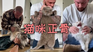 当猫咪们也去做正骨，嘎嘣嘎嘣的一声声太舒服了