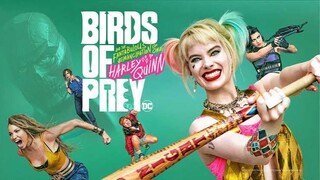 Harley Quinn : Birds of Prey ทีมนกผู้ล่า กับ ฮาร์ลีย์ ควินน์ ผู้เริดเชิด [แนะนำหนังดัง]