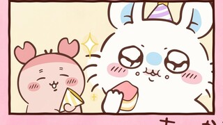 【chiikawa】Flying Squirrel Birthday Special