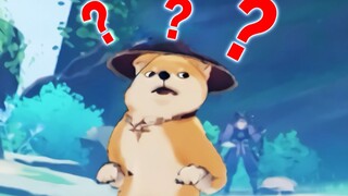 Taromaru: Cậu là con chó! ! !