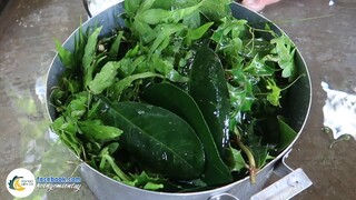 "Nồi Lá Xông" Đông Đầy Tình Nghĩa Anh Em | Hội Ngộ Miền Tây - Tập 286