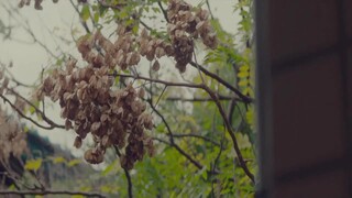 The Rope Curse (2018) เชือกอาถรรพ์ [ซับไทย]