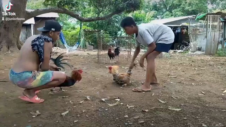 tamang spar lang mga idol