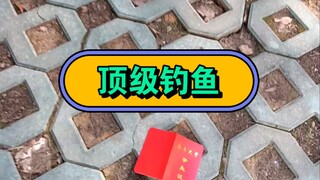 顶级钓鱼佬抢窝