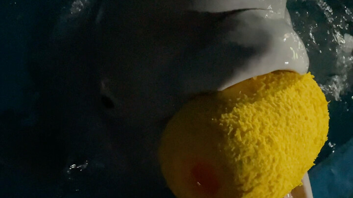 Merekam momen pulang kerja kemarin