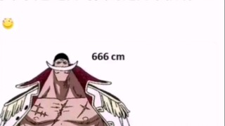 Whitebeard and Jabba are two extremes. [One Piece]