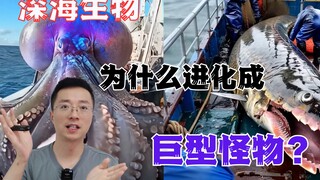 Mengapa makhluk laut dalam berevolusi menjadi monster raksasa?