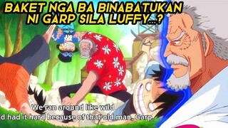 Baket Nga Ba Binabatukan ni Garp Sila Luffy, Ace At Sabo...?