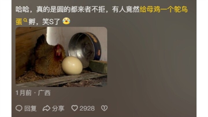 Hen: Never mind all that—whatever hatches is my own chick.