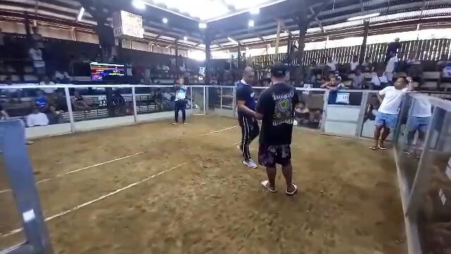 Super brownred 2nd fight win✅