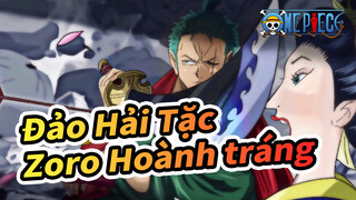 [Đảo Hải Tặc/Zoro/AMV] Zoro Hoành tráng Beat hòa âm Bản phối hiệu đính