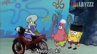 Squidward gk jadi raya🗿