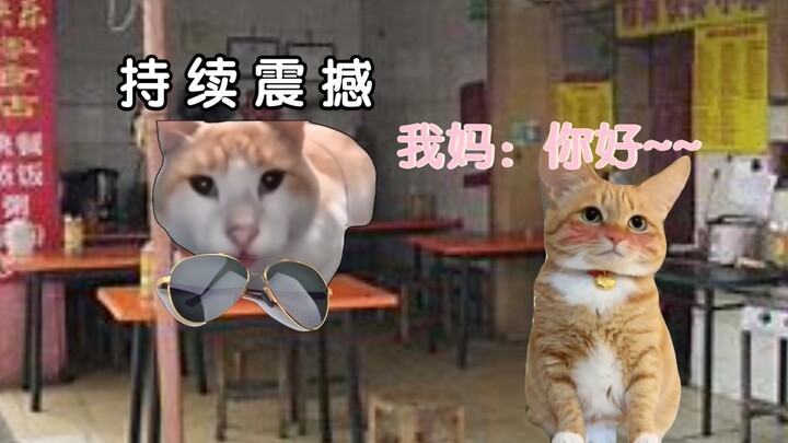 [猫meme]浪迹江湖的我爸怎么可能追到楚楚可人的我妈......【520特辑】