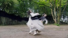 Demon Emperor’s Little Matchmaker (2022) แม่สื่อตัวน้อยของราชาปีศาจ EP 13 [ซับไทย]