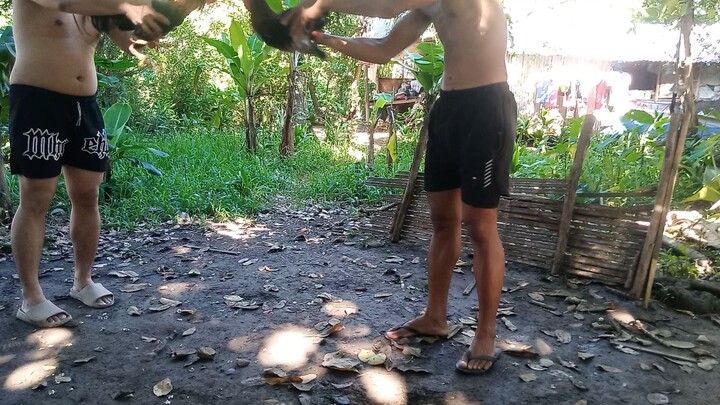 My own blend. Chopsuey build