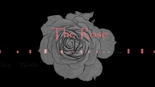 【JOJO手书/乔鲁诺中心】The/Rose