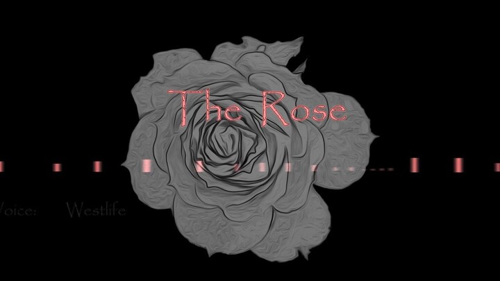【JOJO手书/乔鲁诺中心】The/Rose