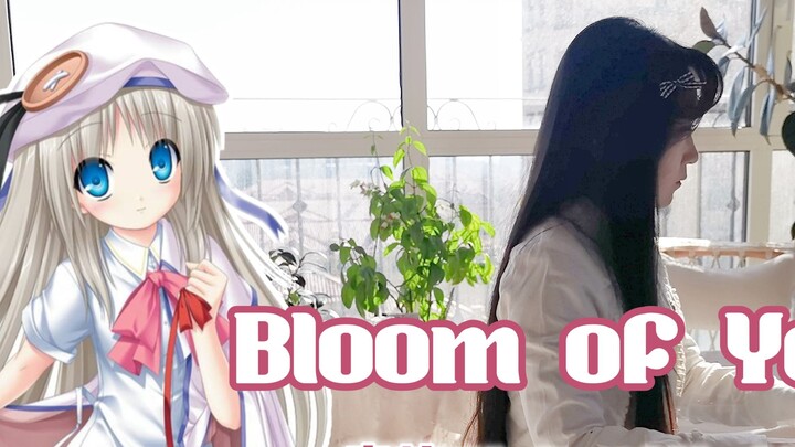 【Piano】Bloom of Youth | Kurt Wafter! masih mekar penuh