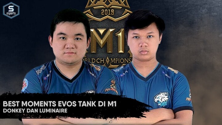 Best Moments Evos Tank Luminare & Donkey M1 | Para Tanker WAJIB NONTON!!