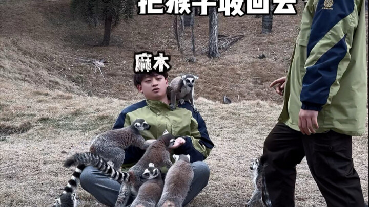 Pergi ke Qingyuan Chimelong untuk beternak hewan selama sehari...