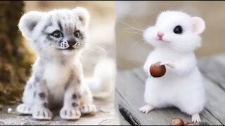 Cute baby animals Videos Compilation cute moment of the animals #3 Cutest Animals 2023