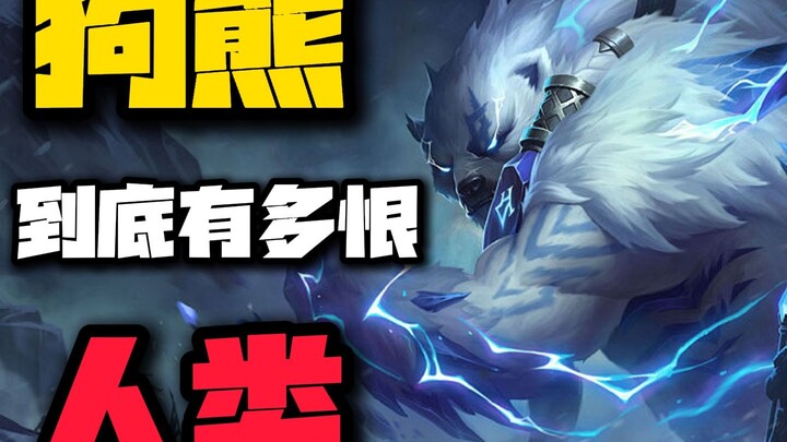 Mengapa si beruang lucu bisa bersahabat akrab dengan kendaraan Si Gadis Babi?