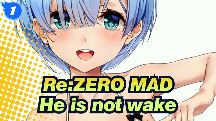 [Re:ZERO -Starting Life in Another World] The Male Protagonist Is Not Wake!_1