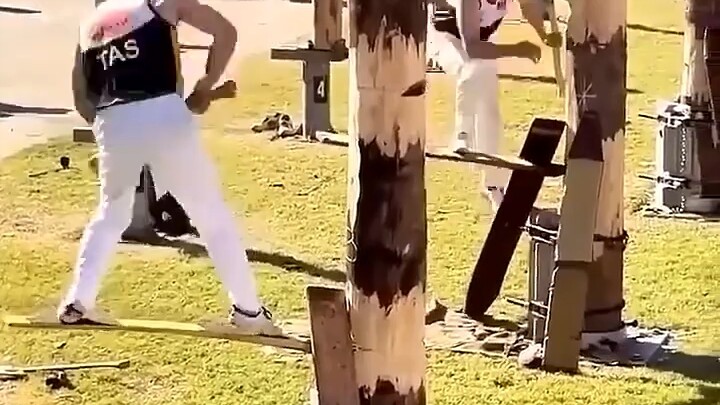 Komunitas Penebang Kayu