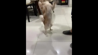 ผมเท่ไหมคร้าบ