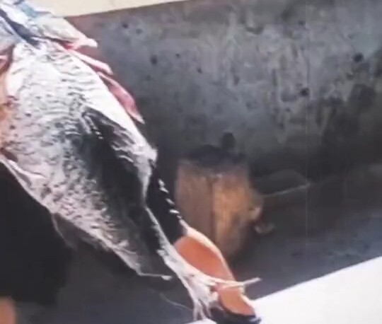 Dari dirimu yang menggemaskan