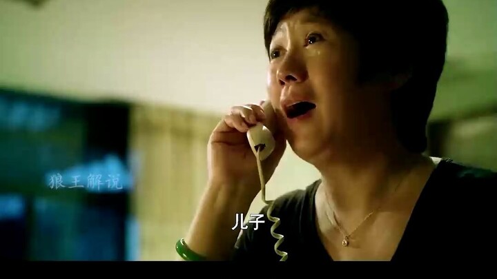 谁有5只猫点头的图片