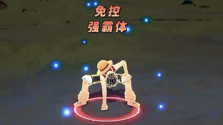 “Karya ulang tahun” pesta visual Luffy