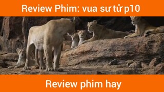 Review phim vua sư tử p10