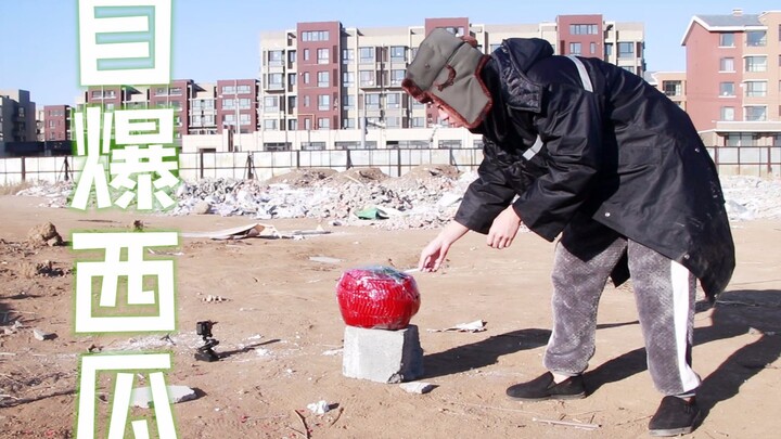 يلفّ المفرقعات حول البطيخ، فتنفجر بوابل من الأصوات والشظايا الصغيرة!