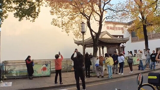 هكذا أصوّر شجرة الأوبو~